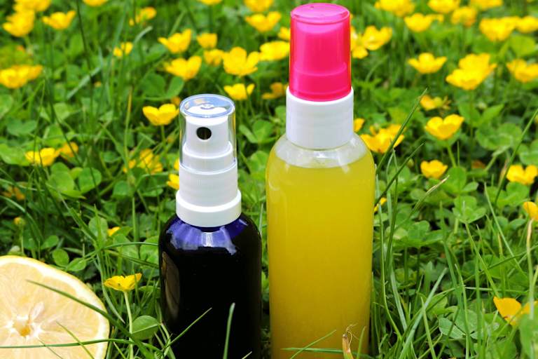 Selbstgemacht: Zitronen- und Salbeideo