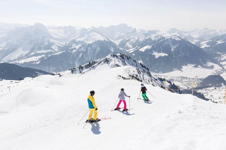 Bergwelten Skigebiete