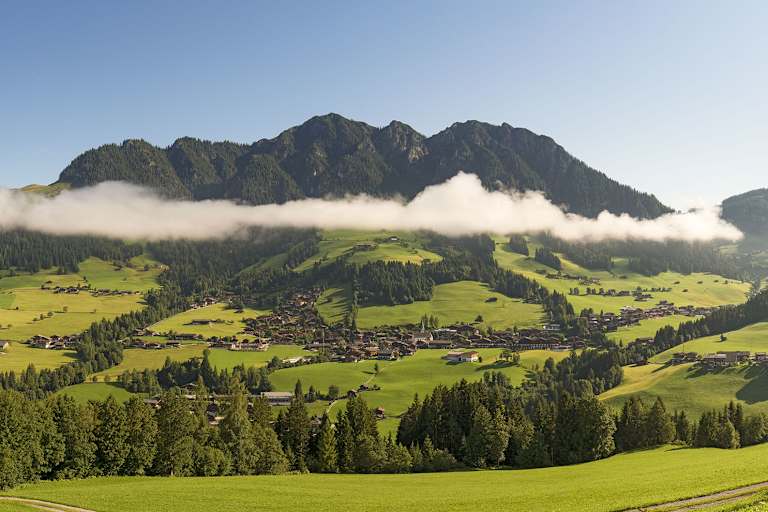Blick auf Alpbach im grünen Alpbachtal.