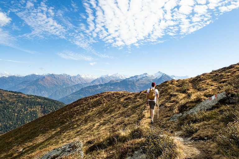 Wanderer am Ronachgeier
