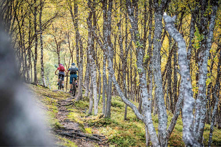 Bikefex Kalender 2021