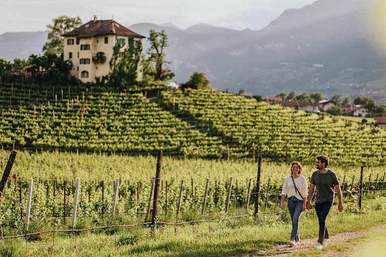 Sanfte Wanderwege entlang der Weinreben laden in Neumarkt zum Flanieren ein.