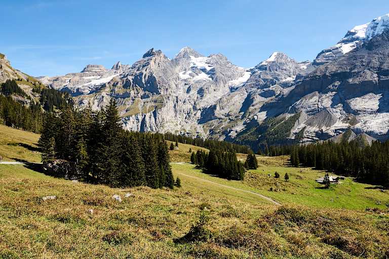 Sagenhafte Blüemlisalp