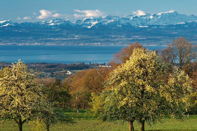 Konstanz in Baden-Württemberg: Bodensee mit Schweizer Alpen