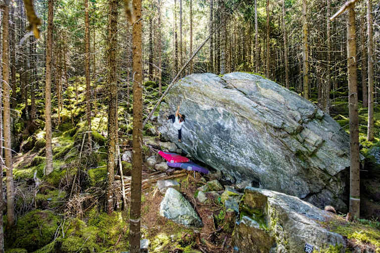 Große Gesteinsbrocken mitten im Wald.