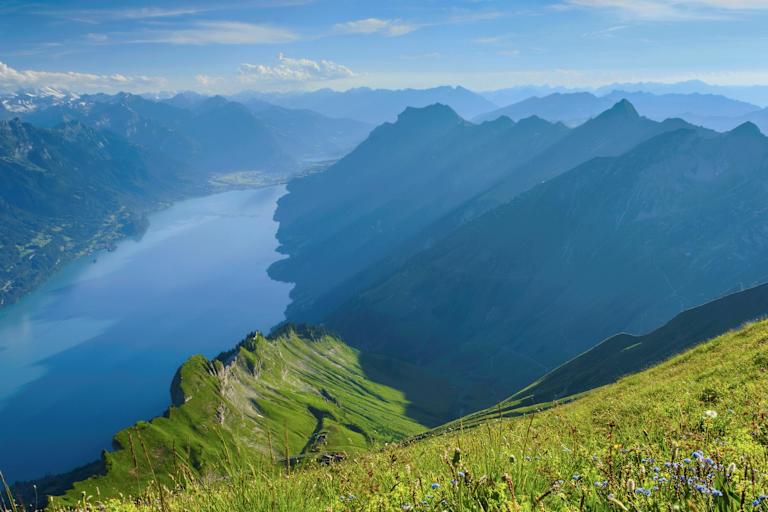 Berner Alpen: Blick auf den Brienzersee im Kanton Bern