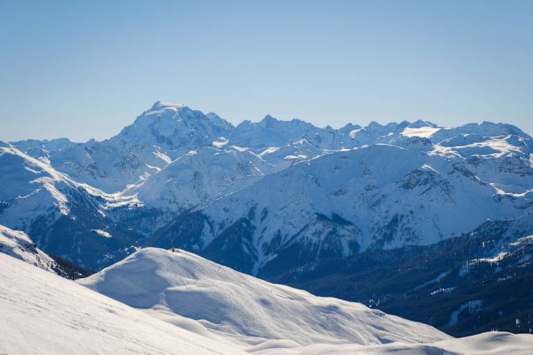 Blick auf den Ortler