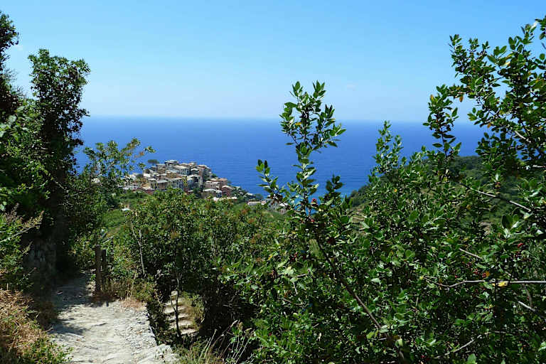 Cinque Terre - Wandern in Ligurien