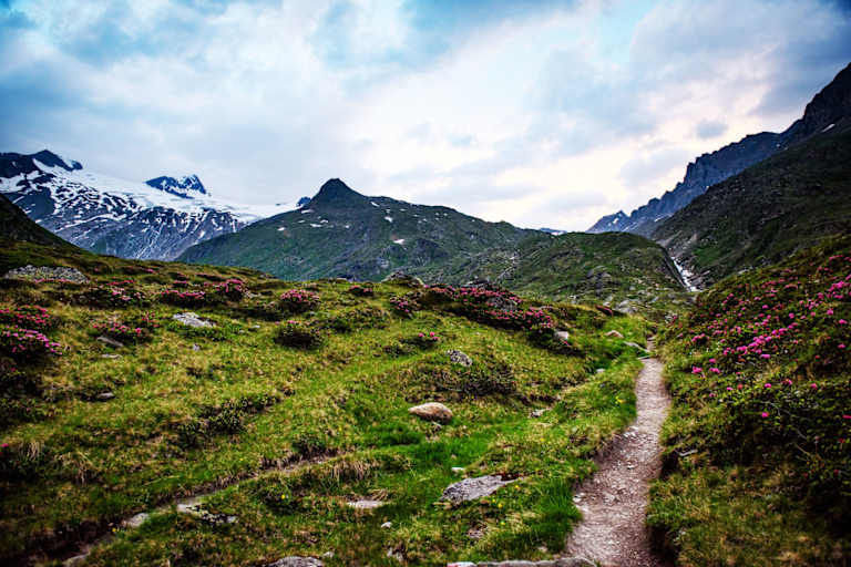 Clean Mountains: Großvenediger