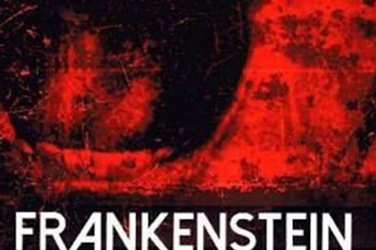 Cover: „Frankenstein“ von Mary Shelley