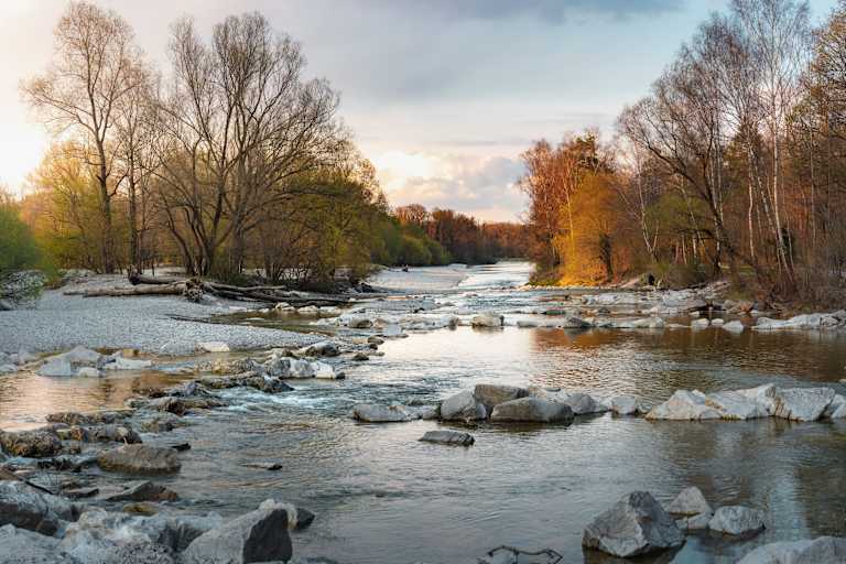 Die Isarauen am Flaucher bei München