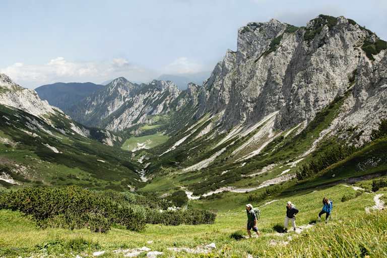 Luchs Trail Nationalpark Kalkalpen
