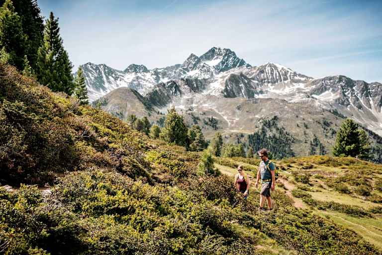 Wandern am Faltegartenköpfl  im Tiroler Ötztal