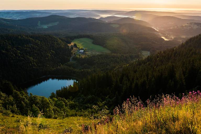 Hochschwarzwald: Wandern am Feldberg