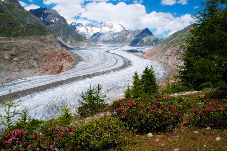 Fiescheralp - Riederalp: Grosser Aletschgletscher in den Berner Alpen im Wallis