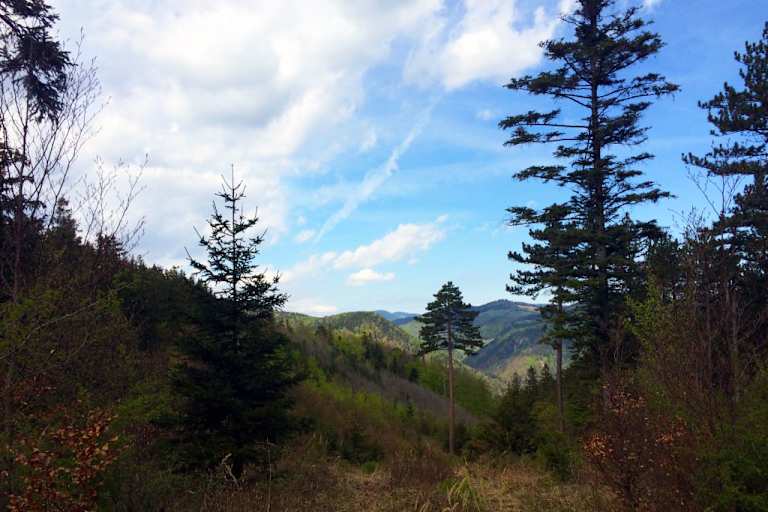 Flatzer Wand - Gösing