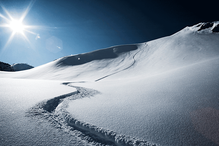 „Die Tischdame der radikalen Freiheit heißt Risiko“