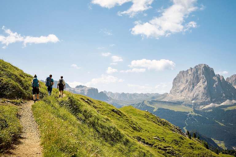 Blick auf markante Felsformationen und saftige Almböden