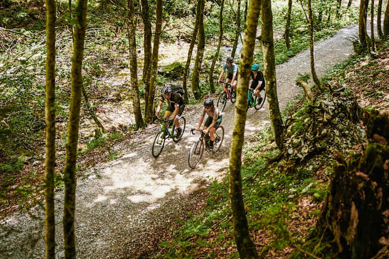 Die Gravelbike-Gruppe auf einem Forstweg.