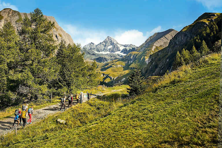 Wanderung im Grünen in Richtung Groß Glockner