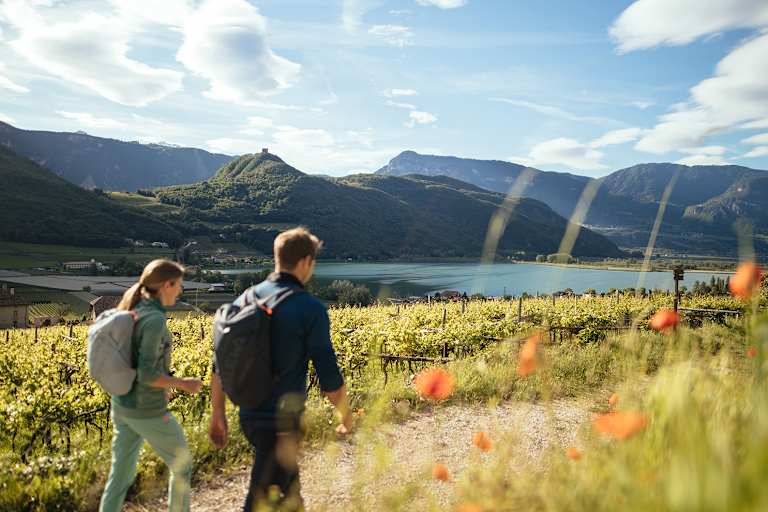Mit seinem mediterranen Frühling lädt das belebte Weindorf Kaltern am See bereits Mitte März zu Wanderungen in den Weinbergen ein.
