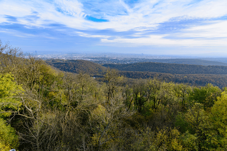 Blick von der Habsburgerwarte auf dem Hermannskogel über die Dächer Wiens