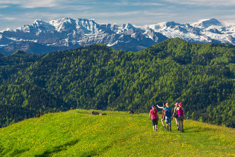 Aussichtsreiches Wandern auf dem Hörnli (1.133 m) vor dem Panorama der Appenzeller Alpen