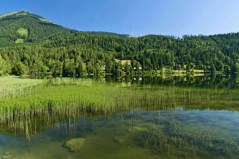 WohlfühlWege: Der Erlaufsee am Fuße der Gemeindealpe