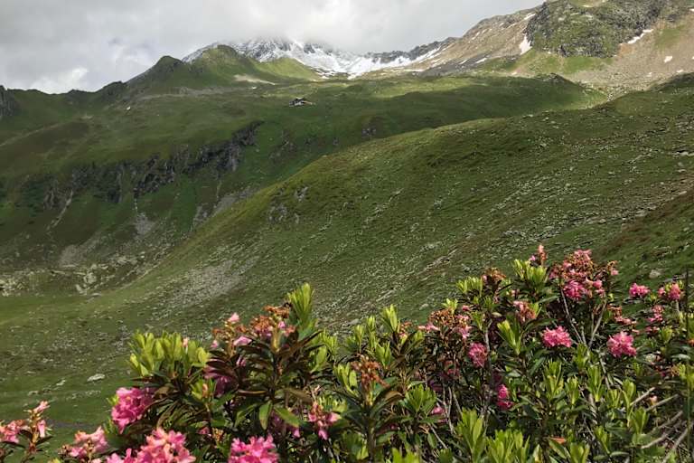 Das Ziel der diesjährigen Aktion „Saubere Berge“ - die Ahornspitze  - verbirgt sich noch in den Wolken.