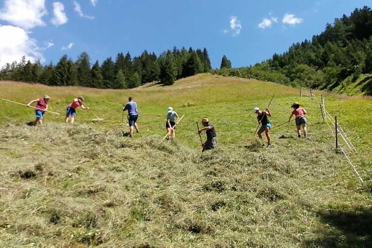 Menschen machen auf einer Bergwiese Heu