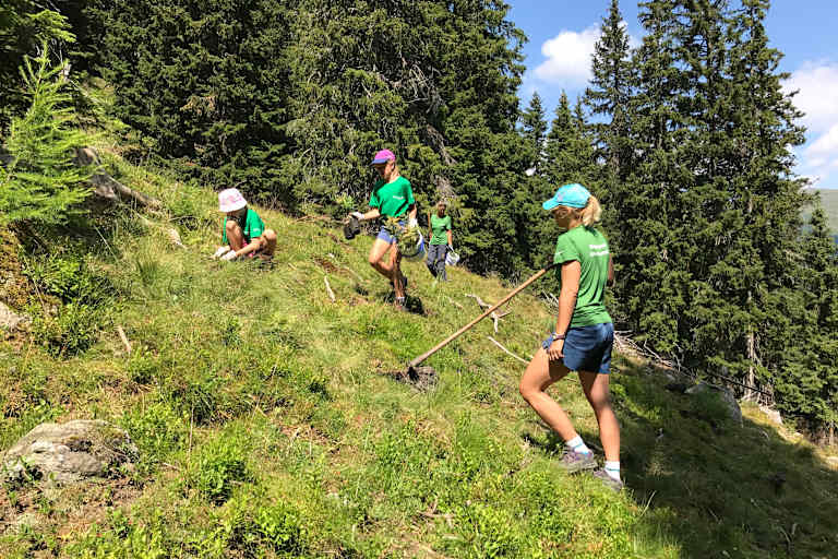 Bergwaldprojekt Obernberg