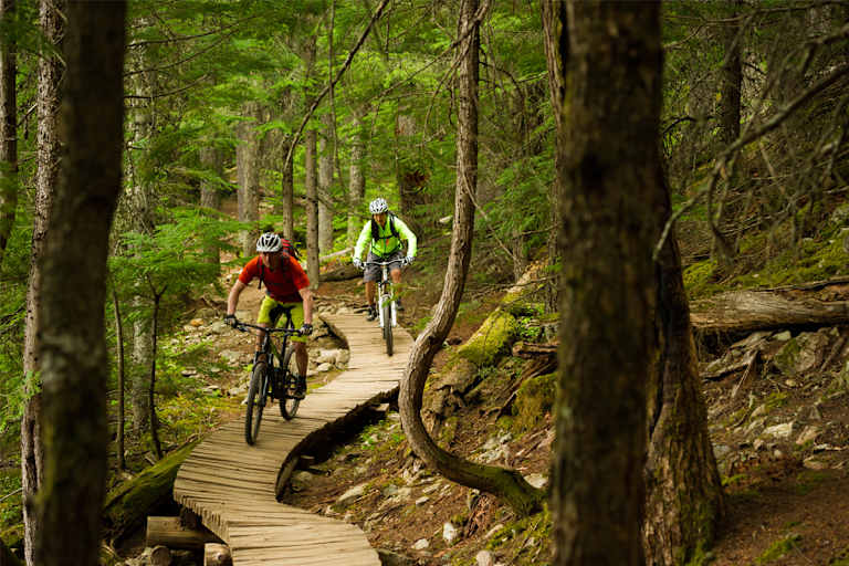 Mountainbiken Forststraßen
