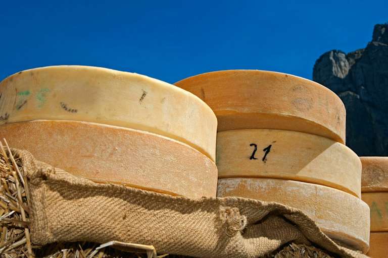 Kulinarisches Wandern: Schweizer Käse