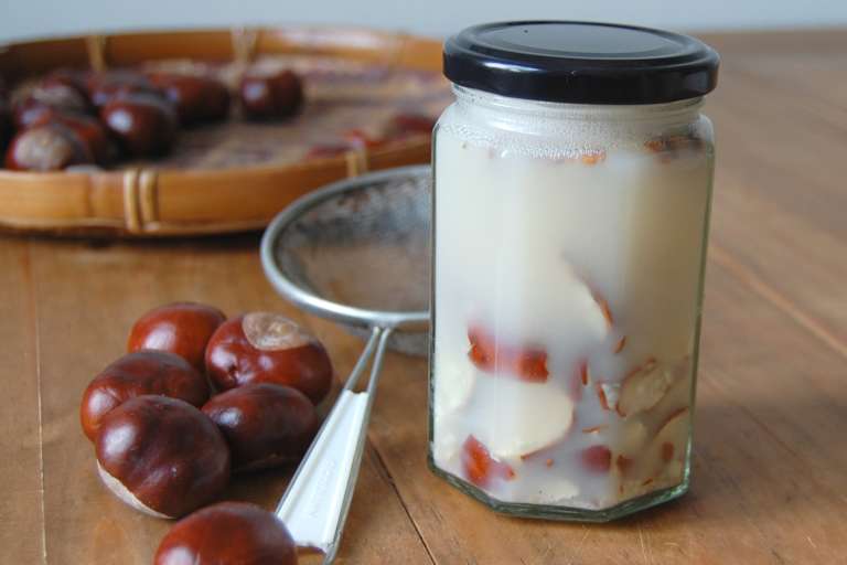 Kastanien-Waschmittel