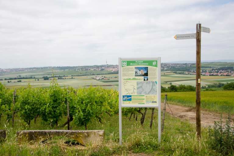 Informationsschild auf dem Kleinen Mainzer Höhenweg