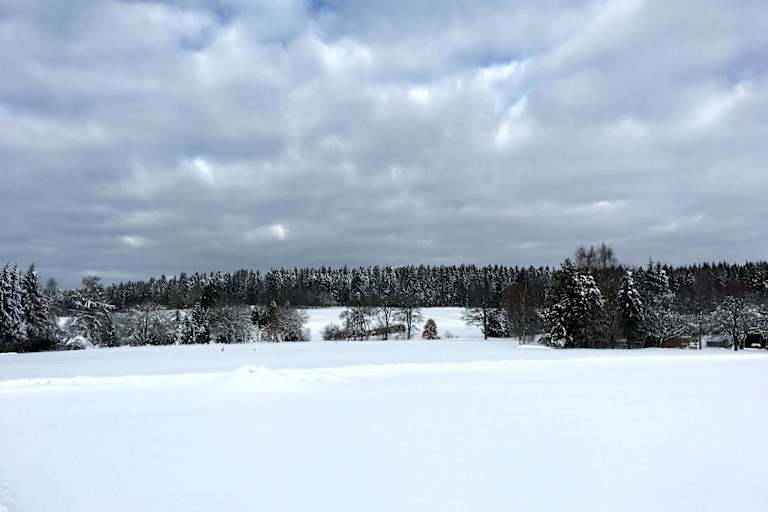 Loßburg Büchenbergspur - Büchenberg
