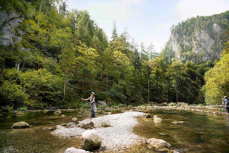 Fliegenfischen an der Schwarza in Niederösterreich.
