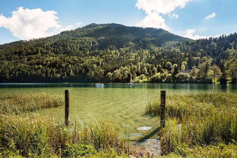 Der smaragdfarbene Lunzer See umgeben von saftig grünen Wäldern