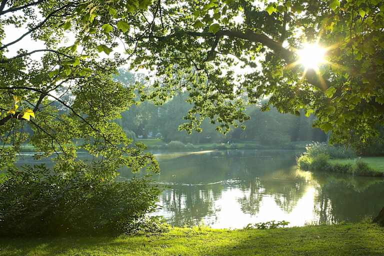 Morgensonne überm Maschteich im Maschpark in Hannover