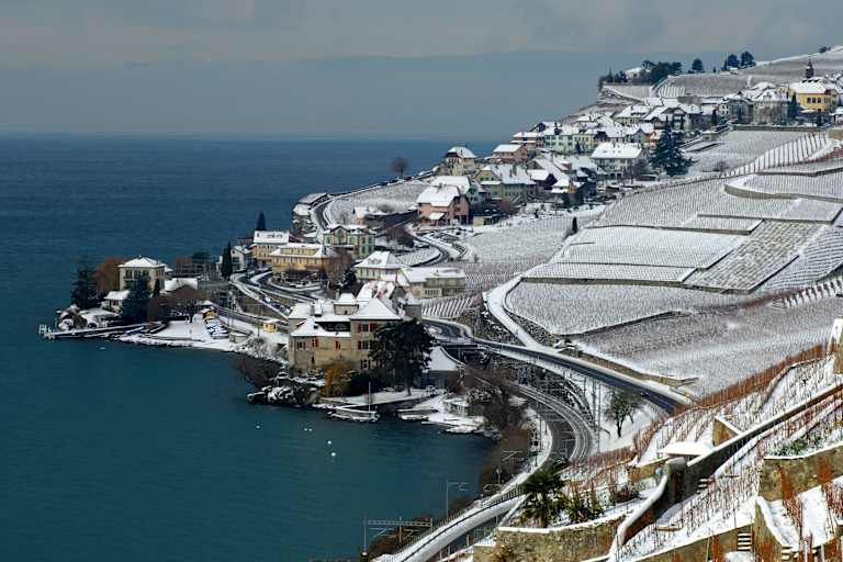 Lavaux Unesco Rivaz Genfersee