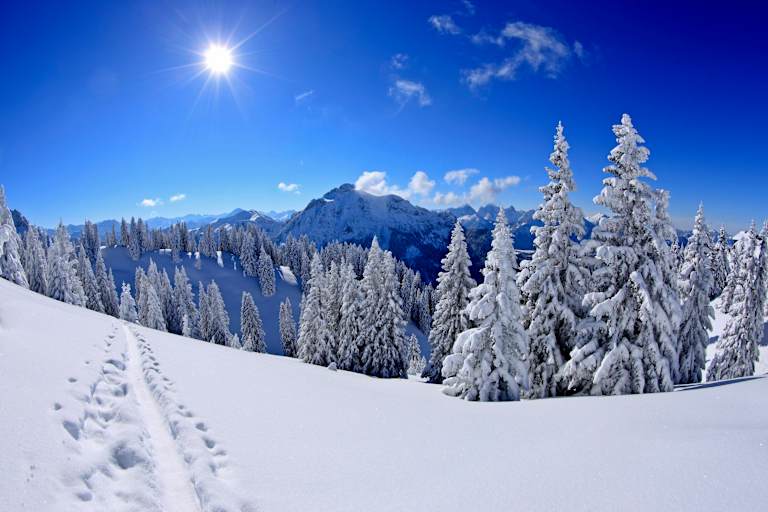 Skitouren und Freeriden im Ammergau