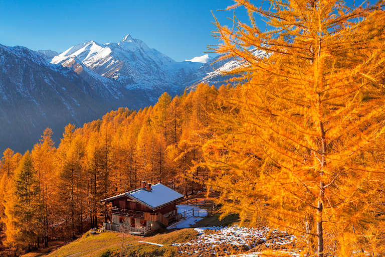 Bergwald Heiligenblut