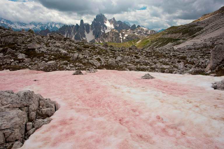 Wassermelonenschnee in den italienischen Dolomiten