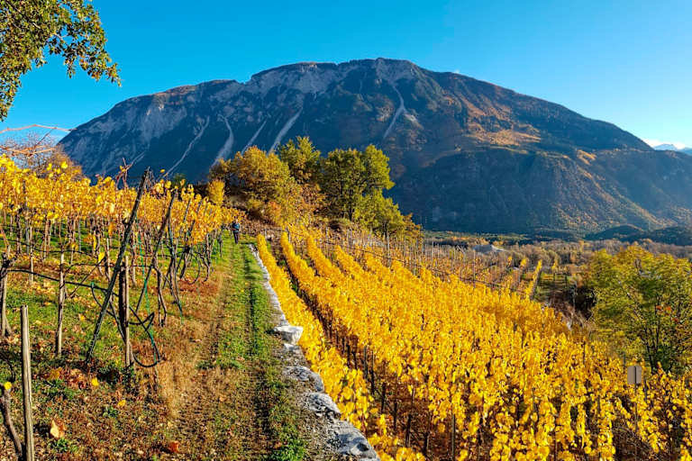 Spätherbstliche Wanderung durch die Weinhügel bei Siders im Kanton Wallis