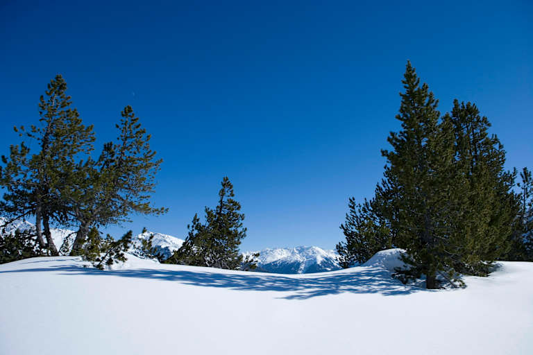 Skitourengehen im lichten Waldgelände in der Kärntner Goldberggruppe 