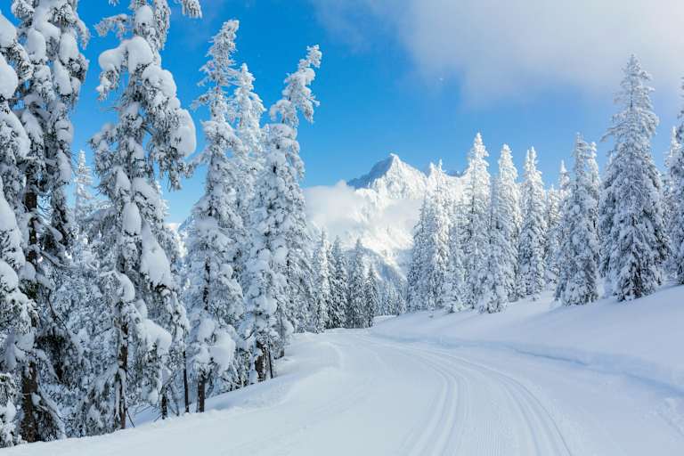 Langlaufen auf dem winterlichen Hochplateau in Ramsau am Dachstein