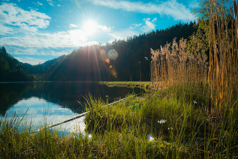 Der Spechtensee bei Wörschachwald im Ennstal, Steiermark