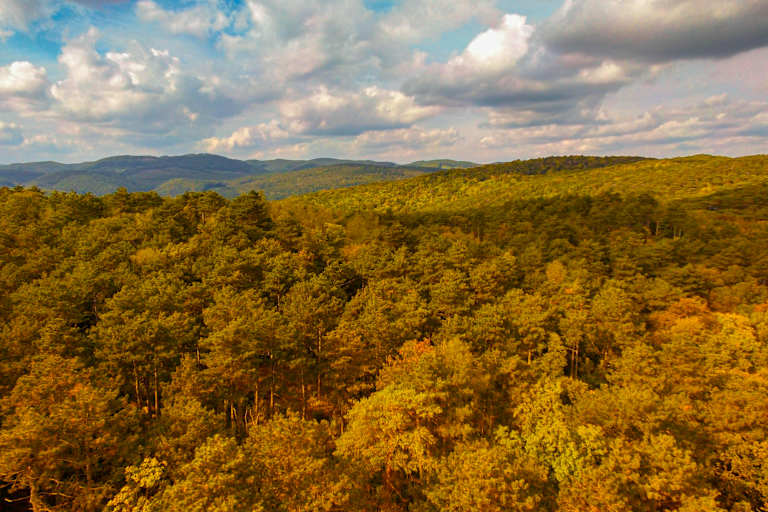 Ausblick auf den Gipfel des Anninger und die herbstliche Landschaft von Perchtoldsdorf, Niederösterreich