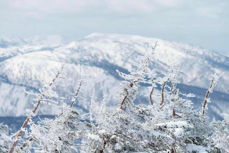 Wie eine Kugellager innerhalb der Schneedecke wirken die runden Graupelkörner