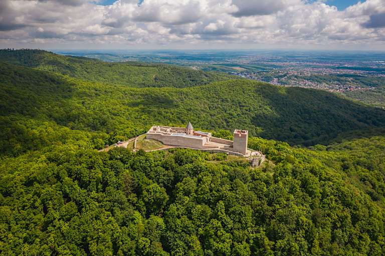 Eine Festung auf dem Berg umrandet von Wald.